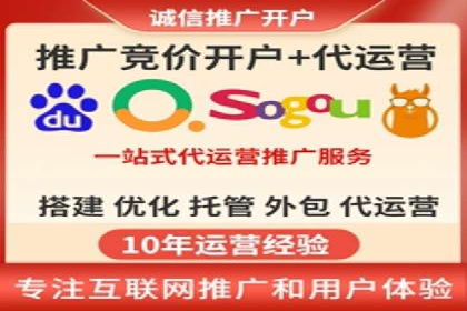 行业专家解析SEM代运营成功案例